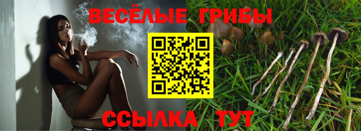 Казань  Галлюциногенные грибы мицелий  Вход с VPN 