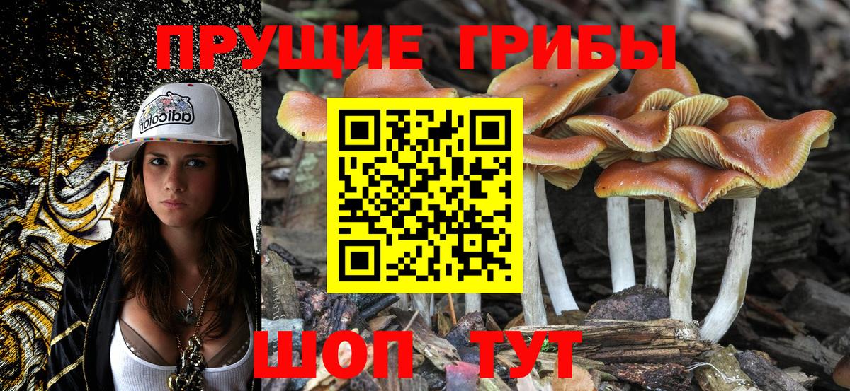 Галлюциногенные грибы мухоморы Казань
